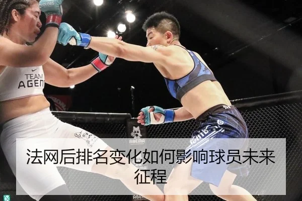法网后排名变化如何影响球员未来征程
