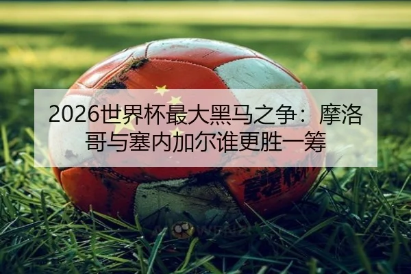 2026世界杯最大黑马之争:摩洛哥与塞内加尔谁更胜一筹